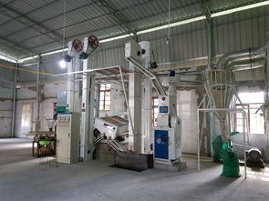 賢昌鎮鋅硒米加工廠 產業新引擎，鋪就村民致富路